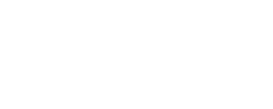 Vanityz - logo